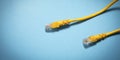 Network connection ethernet cable. Closeup Royalty Free Stock Photo