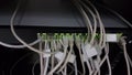 Network connections wires on switch for computer internet Royalty Free Stock Photo