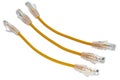 Network Ethernet Cable Over White Royalty Free Stock Photo