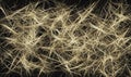 A network of golden threads spread across a dark background, creating a mesmerizing abstract pattern Royalty Free Stock Photo