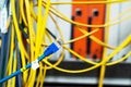 Network hub cable lan Close up Royalty Free Stock Photo