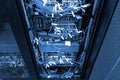 Network hub and patch UTP LAN cables in rack cabinet with dark cold blue toning Royalty Free Stock Photo