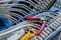 Network installation. Network cable on a network HUB. lan cable management Royalty Free Stock Photo