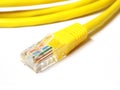 Network internet cable isolated on a white background