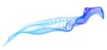 Network lines. Net wave information flow. Scientific paradigm solutions future. Forward vision progress. Big data cells