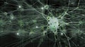network neural circuitry intricate