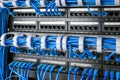 Network panel, switch and internet cable in data center. Black switch and blue ethernet cables, Data Center Concept. Royalty Free Stock Photo