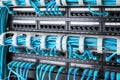 Network panel, switch and internet cable in data center. Black switch and blue ethernet cables, Data Center Concept. Royalty Free Stock Photo