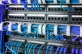 Network panel, switch and internet cable in data center. Black switch and blue ethernet cables, Data Center Concept. Royalty Free Stock Photo