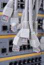 Network patch cord cable RJ45 connectors