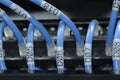 Network and patch cord cable in data cente.selective focus shot Royalty Free Stock Photo