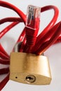 Network Security Royalty Free Stock Photo