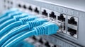 Network switch with blue ethernet cables Royalty Free Stock Photo