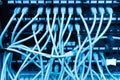 Network switch Royalty Free Stock Photo