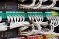 Network switch and ethernet cables connected Royalty Free Stock Photo