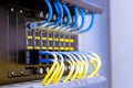 Network switch and ethernet cables,Data Center Concept Royalty Free Stock Photo