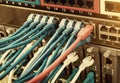 Network switch and ethernet cables Royalty Free Stock Photo