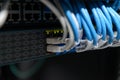 Information Technology Computer Network. Network Switch and ethernet cables. Royalty Free Stock Photo