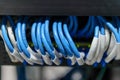 Information Technology Computer Network. Network Switch and ethernet cables. Royalty Free Stock Photo