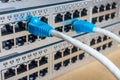 Network Switch Royalty Free Stock Photo