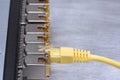 Network switch with gbic and ethernet cable Royalty Free Stock Photo