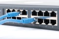 Network switch hub