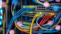 Network switch with multi-colored cables Royalty Free Stock Photo