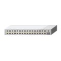 Network switch 32 port