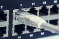 Network switch and UTP ethernet cables Royalty Free Stock Photo