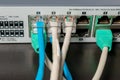 Network switch and UTP ethernet cables Royalty Free Stock Photo