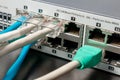 Network switch and UTP ethernet cables Royalty Free Stock Photo