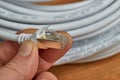 Network utp cable roll Royalty Free Stock Photo