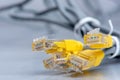 Network UTP ethernet network cables Royalty Free Stock Photo