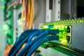 The network wires are connected to the managed switch. Green indication on ports of Internet equipment. A bunch of blue patchcords Royalty Free Stock Photo