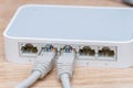 Network wires connected to the switch, router close up Royalty Free Stock Photo