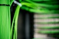 Networked green wires tied in a bundle in the server. Royalty Free Stock Photo