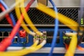 networkplugs in a data center Royalty Free Stock Photo