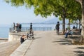Neuchatel,Switzerland-Sept.05.2018:Neuchatel lake in Switzerland seen from the port promenade of Estavayer-le-Lac, with plants and Royalty Free Stock Photo