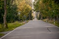 Neue Welt, Germany - September 21, 2019: empty way in Ore mountains