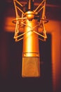 Neumann microphone in a professional audio studio