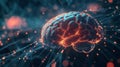 Neural Activity and GABA Interaction in the Human Brain