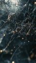 Neural network interface exploring artificial intelligence in digital landscape photography