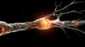 Neural Network, Neuron Firing, Synapse, Brain Cell