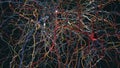 A neural network with neuronal connections transmitting synapses, neurons or nerve cells