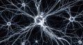 Neural Network Visualization Intricate System of Interconnected Neurons Representing Artificial Intelligence and Brain Royalty Free Stock Photo