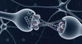 Neural synapse connection, nerve pathway transmission, neurotransmitter release, cellular communication, brain activity Royalty Free Stock Photo