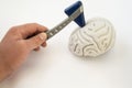 A neurologist, holding a neurological hammer, conducts examinations of the brain. The idea for the examination of the patient or a