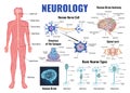 Neurology And Human Brain Set
