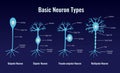 Basic Neuron Types Composition