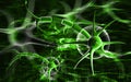Neuron Royalty Free Stock Photo
